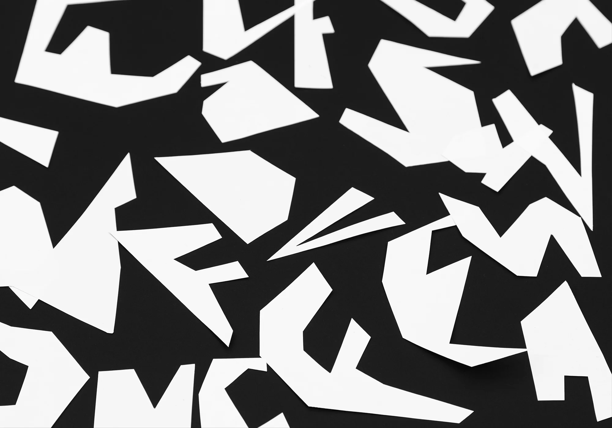 Prise de vue des lettres découpées utilisées pour la composition typographique du fond de l'affiche